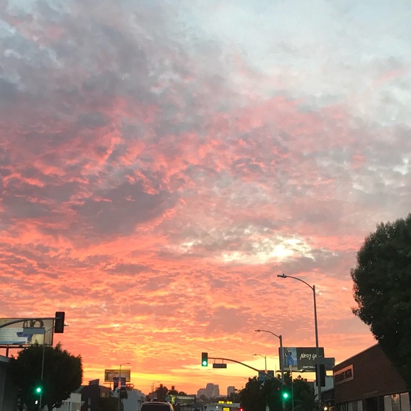 Meet your Posher, Savannah - Picture 1 of 1